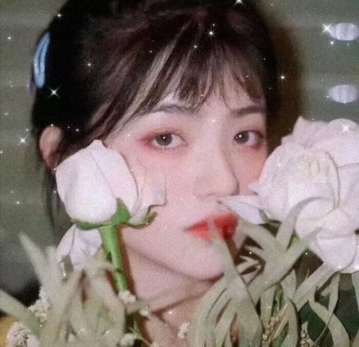 大放异彩